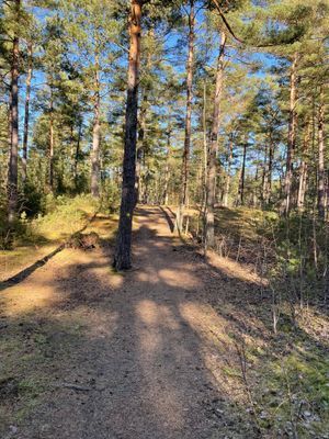 Bild 4 på Stuga nära strand hav och skog Åhus