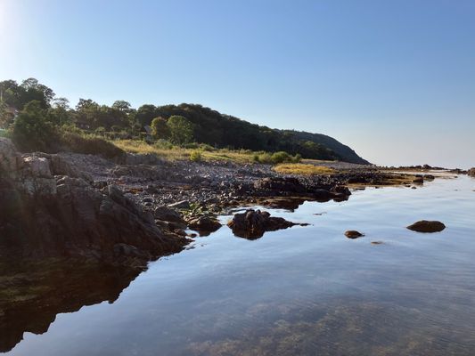 Eget hus och trädgård, nära Arilds Vingård - Bild 24