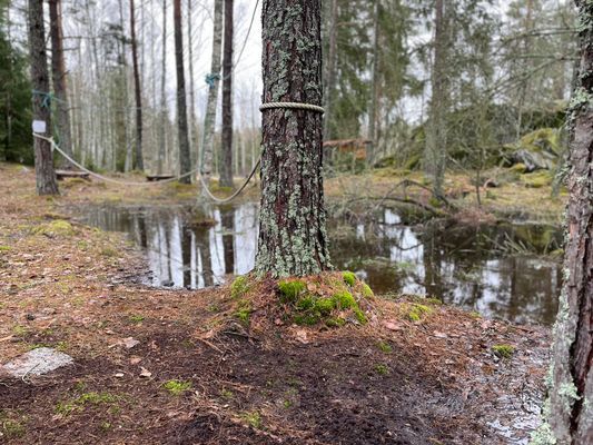 Lantlig exklusiv villa vid sjö - Bild 47