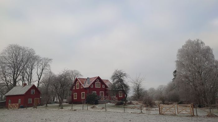 Rogivande boende i 1800-talsmiljö - Bild 39