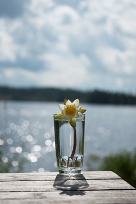 Sjöläge! genuint torp, kanot och fiskebåt ingår - Bild 48