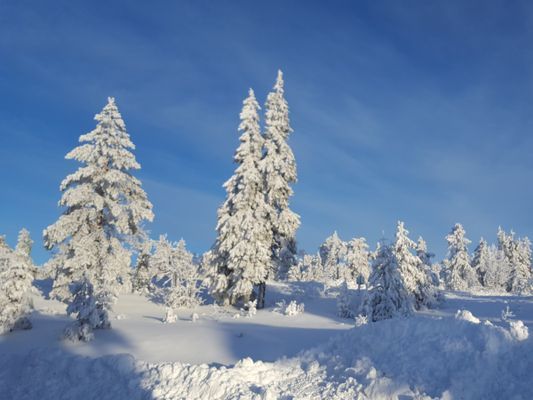 Tandådalen, Jossivägen - Bild 18