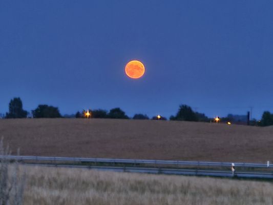 Rosdala gård: trivsamt gästhus i Skånelänga, 2+2 - Bild 17