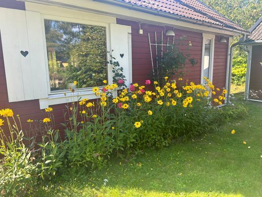 Mysig och bekväm stuga nära havet