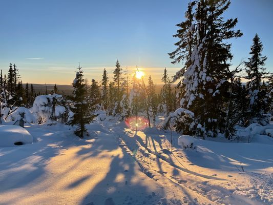 Fjällstuga toppläge, Sångbäcksvallen/Klövsjö - Bild 13