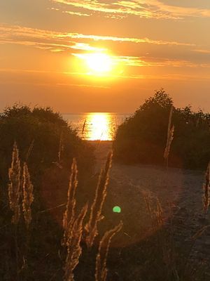 150 meter från stranden i södra Skummeslövsstrand! - Bild 25