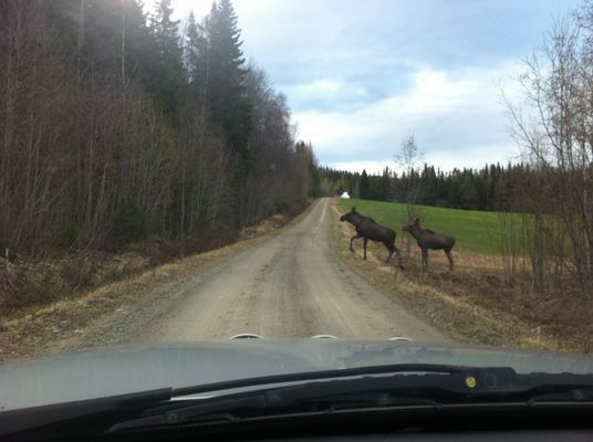 Innersta Friden, stugan med unikt sjönära läge - Bild 67