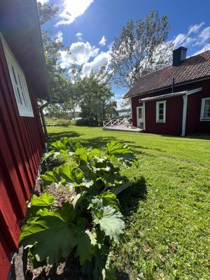 Torp vid vattnet, kvällssol, egen brygga och båt - Bild 15