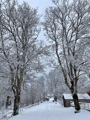 Stuga med vacker natur, öppet landskap, skog, sjö.