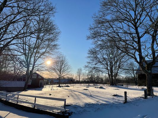 Bild 3 på Stuga med vacker natur, öppet landskap, skog, sjö.