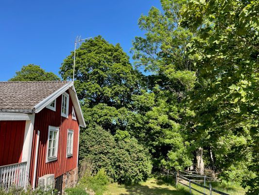 Stuga med vacker natur, öppet landskap, skog, sjö. - Bild 24