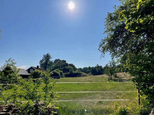 Stuga med vacker natur, öppet landskap, skog, sjö. - Bild 25