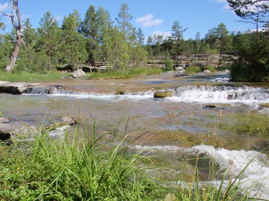 Innersta Friden, stugan med unikt sjönära läge - Bild 50