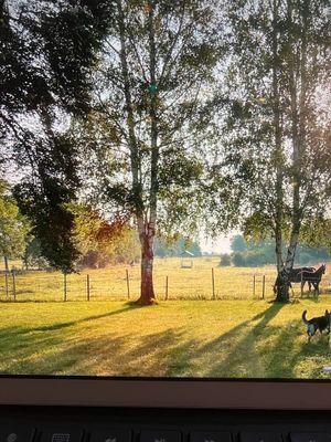 Sommarhus på Norra Öland havsnära med enskilt läge - Bild 20