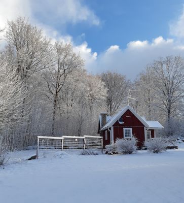 Hundtillåten, lugn, mysig stuga, nära bad/fiske