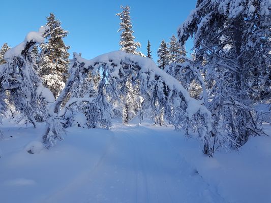 Nybyggd fjällstuga i Grövelsjön - Bild 24