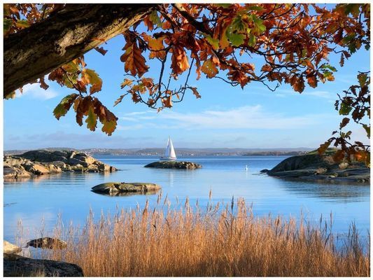 Lägenhet med Havsutsikt på Donsö Göteborg skärgård - Bild 31