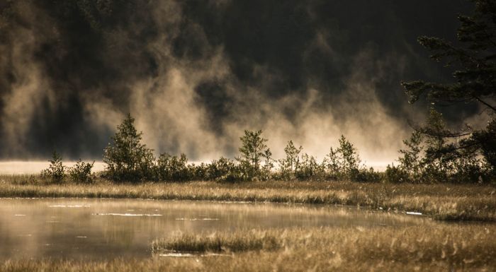 Torp med sjöläge vid kanotleden Svartälven, bastu - Bild 37