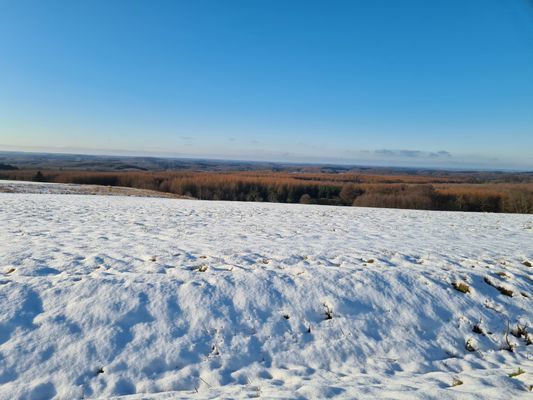 Rosdala gård: trivsamt gästhus i Skånelänga, 2+2 - Bild 54