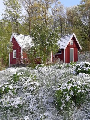 Bild 3 på Hundtillåten, lugn, mysig stuga, nära bad/fiske