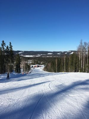 Mysig stuga i Hassela med utsikt över fjällen - Bild 13