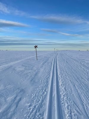 Exklusiv fjällstuga - bästa läge - magiska vyer - Bild 18