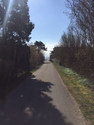 Strandnära stuga i Beddingestrand nära Ystad