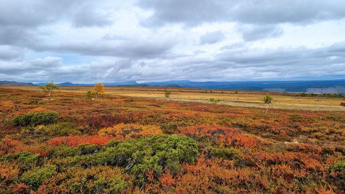 Fjällmagi på hösten!