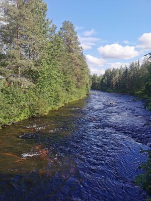 Familjevänlig mysig röd fjällstuga nära Kläppen - Bild 16