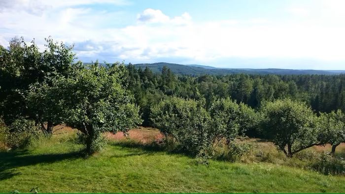 Hyr denna stuga i Leksand på 70 m². 6 sängplatser. 5 000 - 7 000 kr per vecka. Se bilder och tillgänglighet här.