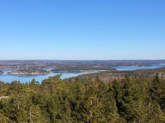 Stuga, Orust, Bohuslän, lugnt läge, skog, havsnära - Bild 18