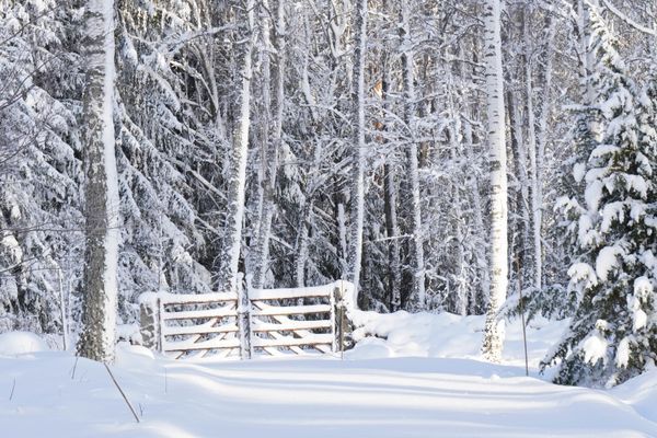 Ferienhaus bei Årjäng an See Östra Silen - Bild 12