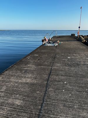 Harmoniskt hus i Mölle