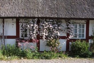 Familjevänligt boende nära havet - Bild 6