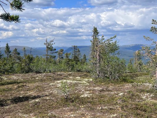 Sommarsemester i Sälenfjällen, vandra och cykla - Bild 12