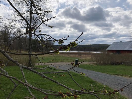 Fridfull & charmig våning i Smålands Trädgård - Bild 37