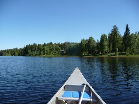 Torp med sjöläge vid kanotleden Svartälven, bastu - Bild 9