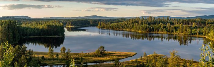 Torp med sjöläge vid kanotleden Svartälven, bastu - Bild 21