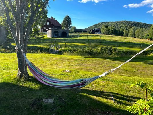 Stuga med strandtomt o söta ponnyer på gården - Bild 20