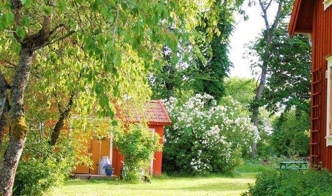 Rogivande boende i 1800-talsmiljö - Bild 8