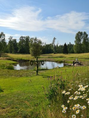 Stuga Solliden, för avkoppling i fina naturmiljöer - Bild 21