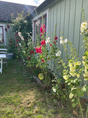 Mysigt sommarhus i centralt läge, Löderup by