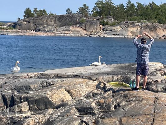 Två separata hus på skog/sjötomt vid Ålands hav