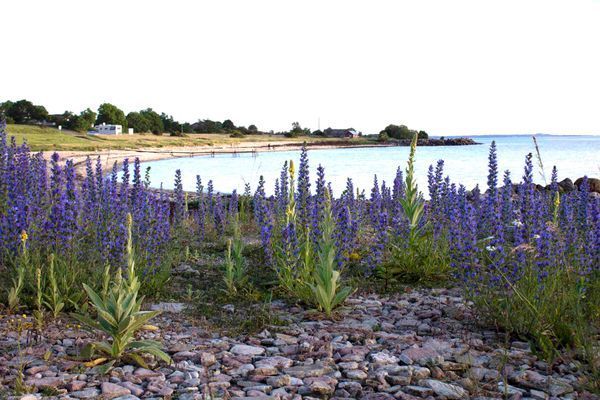 Lägenhet i Äleklinta Öland, med havsutsikt - Bild 12