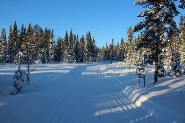 Åk Skidor, Vandra, Koppla Av: 50m till skidspår - Bild 6