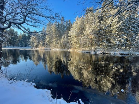 Historiskt boende med sjötomt