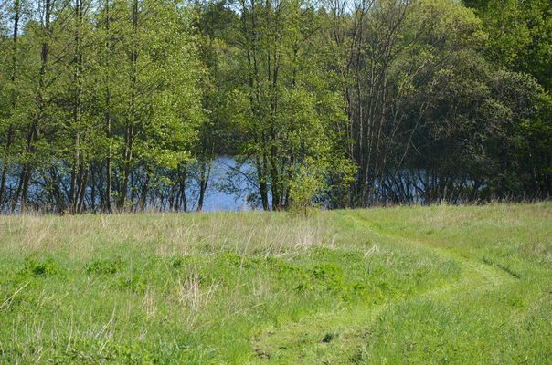 Idyllisk Sommargård vid sjö och underbar natur - Bild 6