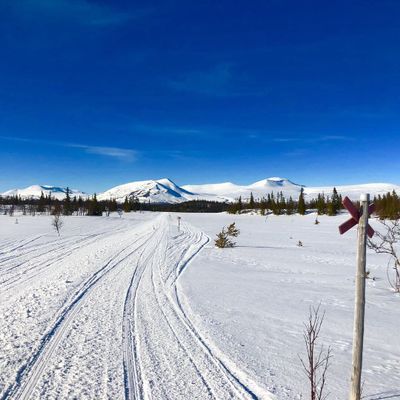 Klövertopparna taget vid leden mot oxvattnet