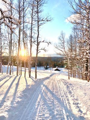 Leden upp till fjället, japp vi åker pulka även här