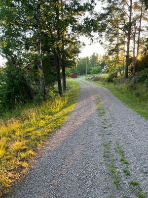 Mysig stuga i Smålands skogar - Bild 12